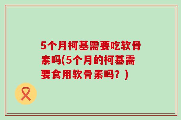 5个月柯基需要吃软骨素吗(5个月的柯基需要食用软骨素吗?)-第1张图片-氨糖科普网 5个月柯基需要吃软骨素吗(5个月的柯基需要食用软骨素吗?)-第1张图片-氨糖科普网