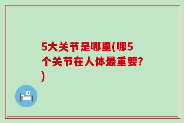 5大关节是哪里(哪5个关节在人体最重要?)-第1张图片-氨糖科普网 5大关节是哪里(哪5个关节在人体最重要?)-第1张图片-氨糖科普网