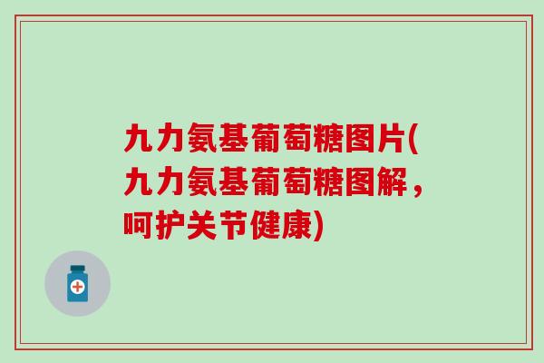 九力氨基葡萄糖图片(九力氨基葡萄糖图解,呵护关节健康)-第1张图片-氨糖科普网 九力氨基葡萄糖图片(九力氨基葡萄糖图解,呵护关节健康)-第1张图片-氨糖科普网