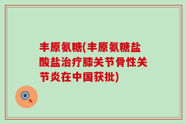 丰原氨糖(丰原氨糖盐酸盐治疗膝关节骨性关节炎在中国获批)-第1张图片-氨糖科普网 丰原氨糖(丰原氨糖盐酸盐治疗膝关节骨性关节炎在中国获批)-第1张图片-氨糖科普网