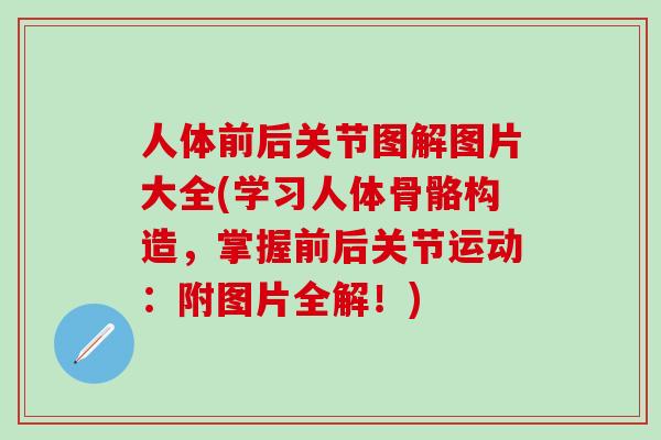 人体前后关节图解图片大全(学习人体骨骼构造,掌握前后关节运动:附图片全解!)-第1张图片-氨糖科普网 人体前后关节图解图片大全(学习人体骨骼构造,掌握前后关节运动:附图片全解!)-第1张图片-氨糖科普网