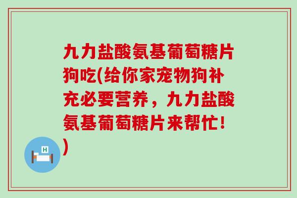 九力盐酸氨基葡萄糖片狗吃(给你家宠物狗补充必要营养,九力盐酸氨基葡萄糖片来帮忙!)-第1张图片-氨糖科普网 九力盐酸氨基葡萄糖片狗吃(给你家宠物狗补充必要营养,九力盐酸氨基葡萄糖片来帮忙!)-第1张图片-氨糖科普网