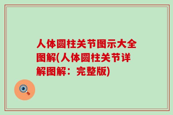 人体圆柱关节图示大全图解(人体圆柱关节详解图解:完整版)-第1张图片-氨糖科普网 人体圆柱关节图示大全图解(人体圆柱关节详解图解:完整版)-第1张图片-氨糖科普网