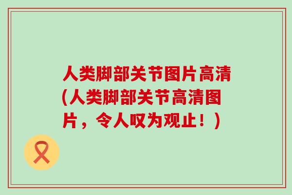 人类脚部关节图片高清(人类脚部关节高清图片,令人叹为观止!)-第1张图片-氨糖科普网 人类脚部关节图片高清(人类脚部关节高清图片,令人叹为观止!)-第1张图片-氨糖科普网