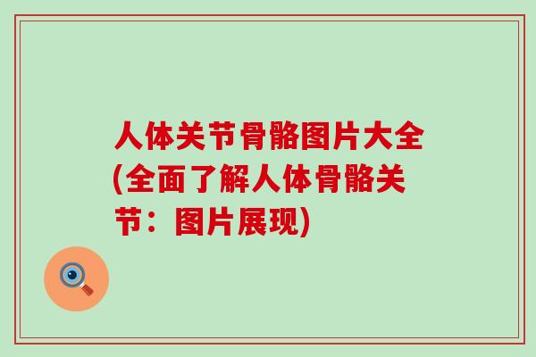 人体关节骨骼图片大全(全面了解人体骨骼关节:图片展现)-第1张图片-氨糖科普网 人体关节骨骼图片大全(全面了解人体骨骼关节:图片展现)-第1张图片-氨糖科普网