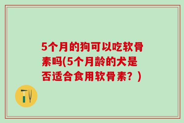 5个月的狗可以吃软骨素吗(5个月龄的犬是否适合食用软骨素?)-第1张图片-氨糖科普网 5个月的狗可以吃软骨素吗(5个月龄的犬是否适合食用软骨素?)-第1张图片-氨糖科普网