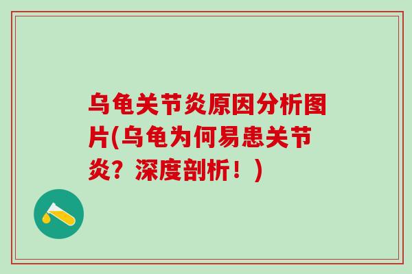 乌龟关节炎原因分析图片(乌龟为何易患关节炎?深度剖析!)-第1张图片-氨糖科普网 乌龟关节炎原因分析图片(乌龟为何易患关节炎?深度剖析!)-第1张图片-氨糖科普网