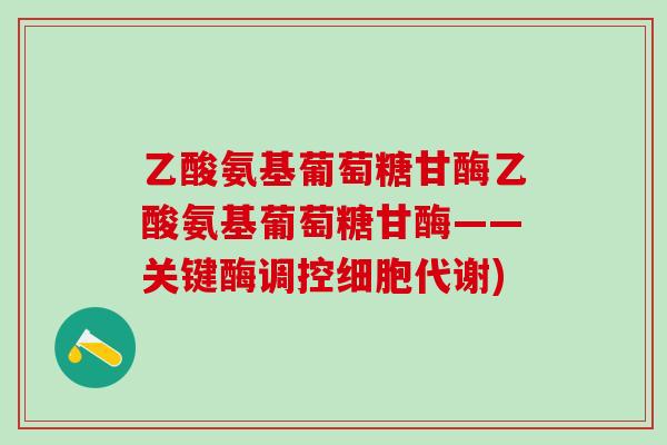 乙酸氨基葡萄糖甘酶乙酸氨基葡萄糖甘酶——关键酶调控细胞代谢)-第1张图片-氨糖科普网