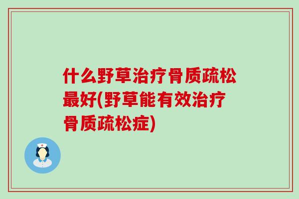什么野草治疗骨质疏松最好(野草能有效治疗骨质疏松症)-第1张图片-氨糖科普网 什么野草治疗骨质疏松最好(野草能有效治疗骨质疏松症)-第1张图片-氨糖科普网