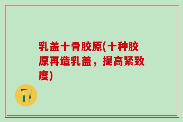 乳盖十骨胶原(十种胶原再造乳盖,提高紧致度)-第1张图片-氨糖科普网 乳盖十骨胶原(十种胶原再造乳盖,提高紧致度)-第1张图片-氨糖科普网
