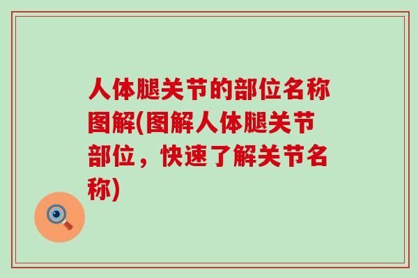 人体腿关节的部位名称图解(图解人体腿关节部位,快速了解关节名称)-第1张图片-氨糖科普网 人体腿关节的部位名称图解(图解人体腿关节部位,快速了解关节名称)-第1张图片-氨糖科普网