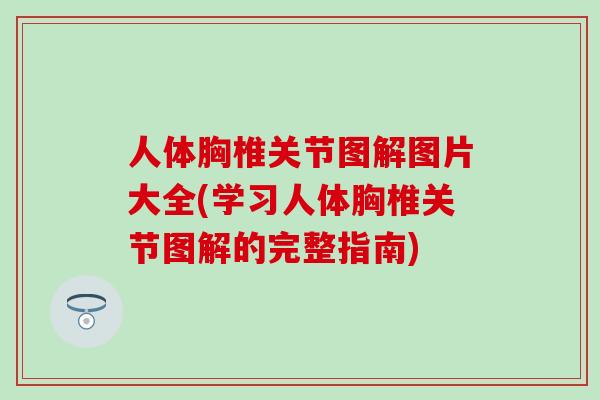 人体胸椎关节图解图片大全(学习人体胸椎关节图解的完整指南)-第1张图片-氨糖科普网