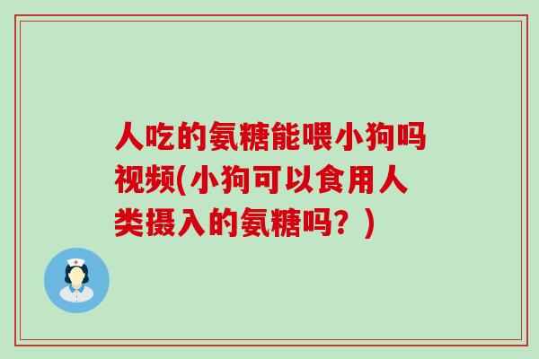 人吃的氨糖能喂小狗吗视频(小狗可以食用人类摄入的氨糖吗？)-第1张图片-氨糖科普网
