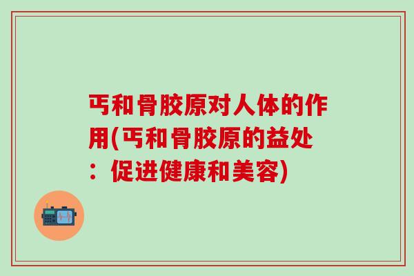 丐和骨胶原对人体的作用(丐和骨胶原的益处:促进健康和美容)-第1张图片-氨糖科普网 丐和骨胶原对人体的作用(丐和骨胶原的益处:促进健康和美容)-第1张图片-氨糖科普网