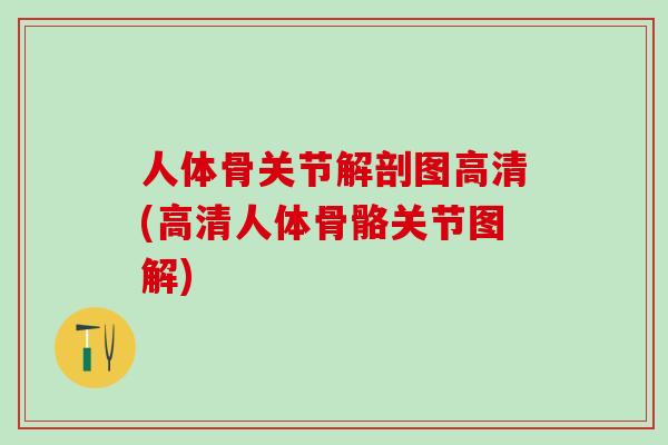 人体骨关节解剖图高清(高清人体骨骼关节图解)-第1张图片-氨糖科普网 人体骨关节解剖图高清(高清人体骨骼关节图解)-第1张图片-氨糖科普网
