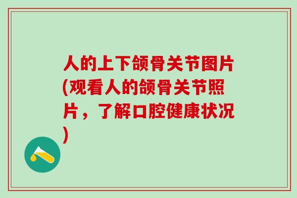 人的上下颌骨关节图片(观看人的颌骨关节照片,了解口腔健康状况)-第1张图片-氨糖科普网 人的上下颌骨关节图片(观看人的颌骨关节照片,了解口腔健康状况)-第1张图片-氨糖科普网