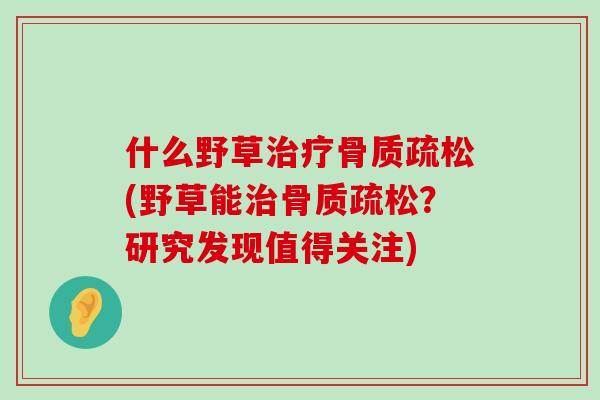 什么野草治疗骨质疏松(野草能治骨质疏松?研究发现值得关注)-第1张图片-氨糖科普网 什么野草治疗骨质疏松(野草能治骨质疏松?研究发现值得关注)-第1张图片-氨糖科普网