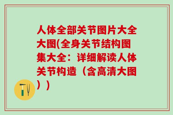 人体全部关节图片大全大图(全身关节结构图集大全:详细解读人体关节构造(含高清大图))-第1张图片-氨糖科普网 人体全部关节图片大全大图(全身关节结构图集大全:详细解读人体关节构造(含高清大图))-第1张图片-氨糖科普网