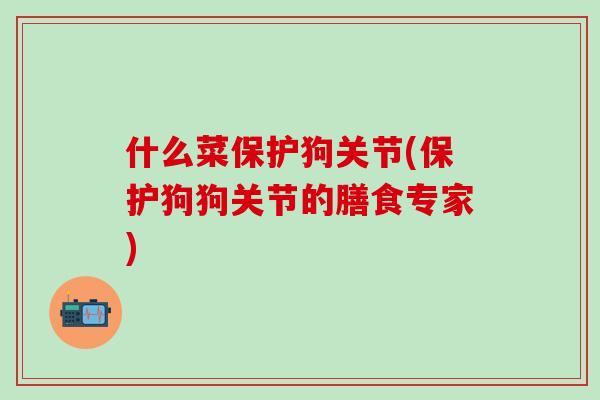 什么菜保护狗关节(保护狗狗关节的膳食专家)-第1张图片-氨糖科普网