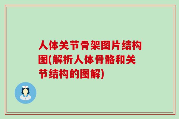 人体关节骨架图片结构图(解析人体骨骼和关节结构的图解)-第1张图片-氨糖科普网 人体关节骨架图片结构图(解析人体骨骼和关节结构的图解)-第1张图片-氨糖科普网