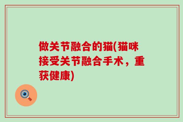 做关节融合的猫(猫咪接受关节融合手术，重获健康)-第1张图片-氨糖科普网