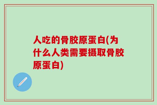 人吃的骨胶原蛋白(为什么人类需要摄取骨胶原蛋白)-第1张图片-氨糖科普网