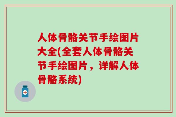 人体骨骼关节手绘图片大全(全套人体骨骼关节手绘图片,详解人体骨骼系统)-第1张图片-氨糖科普网 人体骨骼关节手绘图片大全(全套人体骨骼关节手绘图片,详解人体骨骼系统)-第1张图片-氨糖科普网