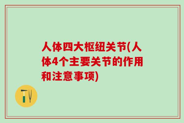 人体四大枢纽关节(人体4个主要关节的作用和注意事项)-第1张图片-氨糖科普网 人体四大枢纽关节(人体4个主要关节的作用和注意事项)-第1张图片-氨糖科普网