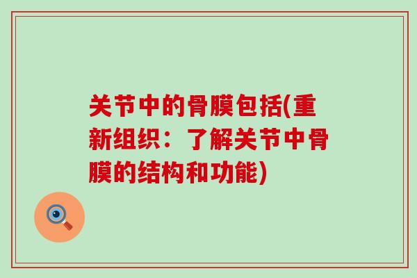 关节中的骨膜包括(重新组织：了解关节中骨膜的结构和功能)-第1张图片-氨糖科普网