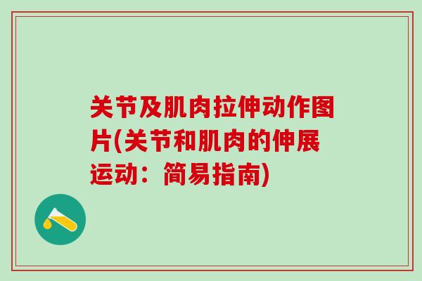 关节及肌肉拉伸动作图片(关节和肌肉的伸展运动：简易指南)-第1张图片-氨糖科普网