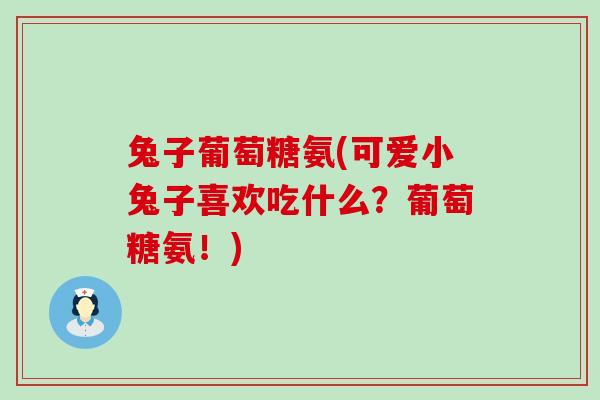 兔子葡萄糖氨(可爱小兔子喜欢吃什么？葡萄糖氨！)-第1张图片-氨糖科普网