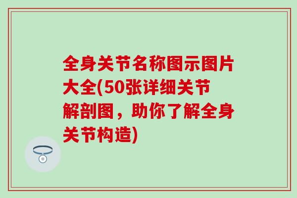 全身关节名称图示图片大全(50张详细关节解剖图，助你了解全身关节构造)-第1张图片-氨糖科普网