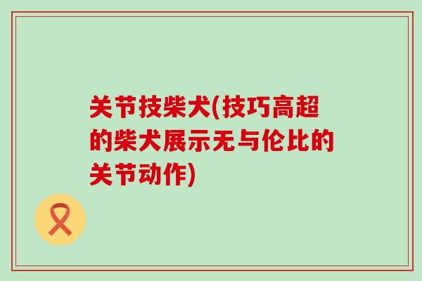 关节技柴犬(技巧高超的柴犬展示无与伦比的关节动作)-第1张图片-氨糖科普网
