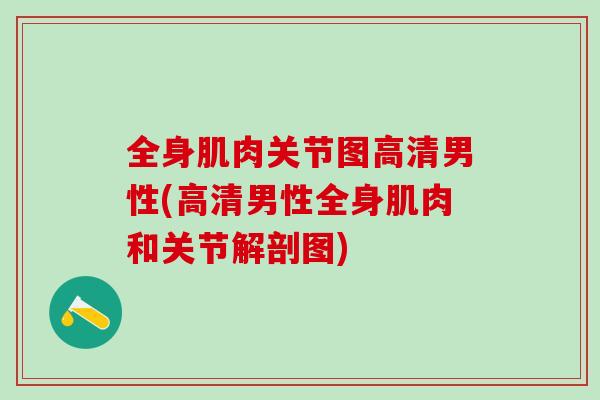 全身肌肉关节图高清男性(高清男性全身肌肉和关节解剖图)-第1张图片-氨糖科普网