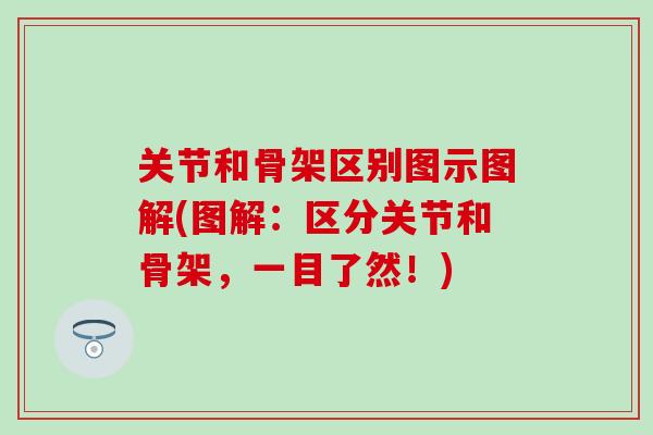 关节和骨架区别图示图解(图解：区分关节和骨架，一目了然！)-第1张图片-氨糖科普网