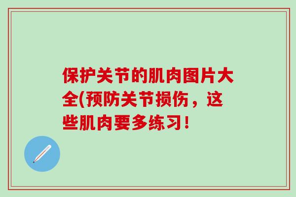 保护关节的肌肉图片大全(预防关节损伤,这些肌肉要多练习!-第1张图片-氨糖科普网 保护关节的肌肉图片大全(预防关节损伤,这些肌肉要多练习!-第1张图片-氨糖科普网