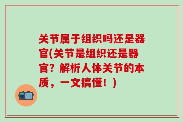 关节属于组织吗还是器官(关节是组织还是器官？解析人体关节的本质，一文搞懂！)-第1张图片-氨糖科普网