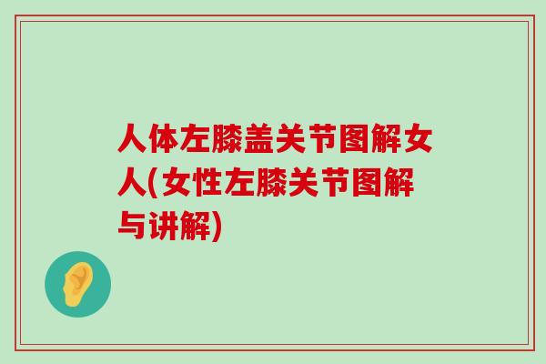 人体左膝盖关节图解女人(女性左膝关节图解与讲解)-第1张图片-氨糖科普网