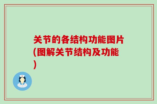 关节的各结构功能图片(图解关节结构及功能)-第1张图片-氨糖科普网