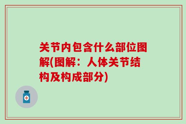 关节内包含什么部位图解(图解:人体关节结构及构成部分)-第1张图片-氨糖科普网 关节内包含什么部位图解(图解:人体关节结构及构成部分)-第1张图片-氨糖科普网