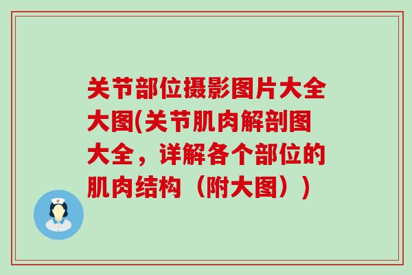 关节部位摄影图片大全大图(关节肌肉解剖图大全，详解各个部位的肌肉结构（附大图）)-第1张图片-氨糖科普网