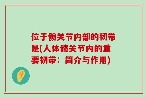 位于髋关节内部的韧带是(人体髋关节内的重要韧带：简介与作用)-第1张图片-氨糖科普网