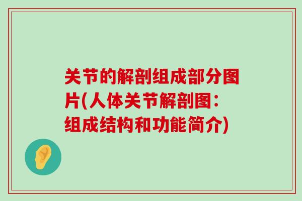 关节的解剖组成部分图片(人体关节解剖图：组成结构和功能简介)-第1张图片-氨糖科普网