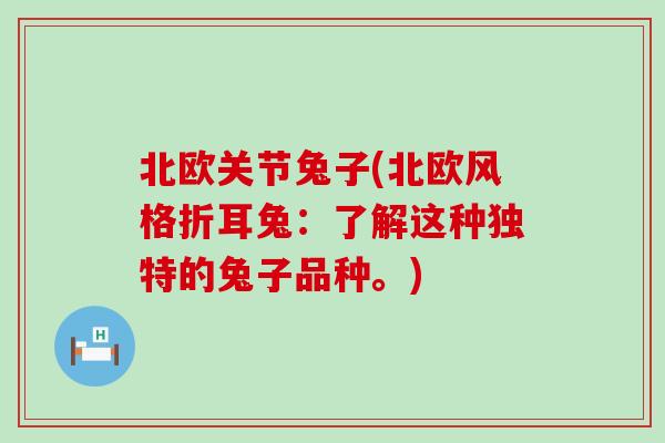 北欧关节兔子(北欧风格折耳兔：了解这种独特的兔子品种。)-第1张图片-氨糖科普网