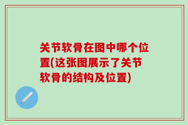 关节软骨在图中哪个位置(这张图展示了关节软骨的结构及位置)-第1张图片-氨糖科普网