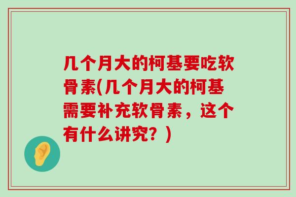 几个月大的柯基要吃软骨素(几个月大的柯基需要补充软骨素,这个有什么讲究?)-第1张图片-氨糖科普网 几个月大的柯基要吃软骨素(几个月大的柯基需要补充软骨素,这个有什么讲究?)-第1张图片-氨糖科普网
