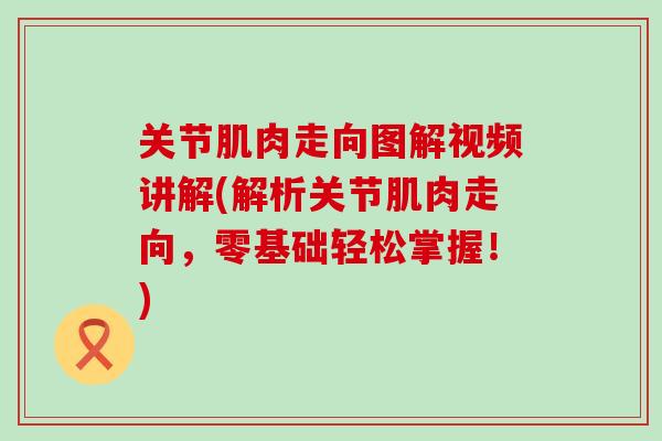 关节肌肉走向图解视频讲解(解析关节肌肉走向，零基础轻松掌握！)-第1张图片-氨糖科普网