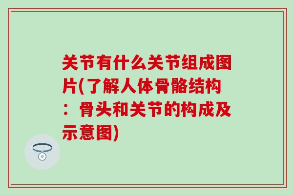 关节有什么关节组成图片(了解人体骨骼结构:骨头和关节的构成及示意图)-第1张图片-氨糖科普网 关节有什么关节组成图片(了解人体骨骼结构:骨头和关节的构成及示意图)-第1张图片-氨糖科普网