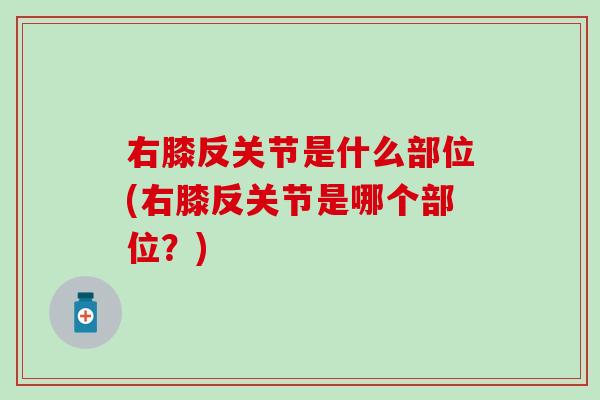 右膝反关节是什么部位(右膝反关节是哪个部位?)-第1张图片-氨糖科普网 右膝反关节是什么部位(右膝反关节是哪个部位?)-第1张图片-氨糖科普网