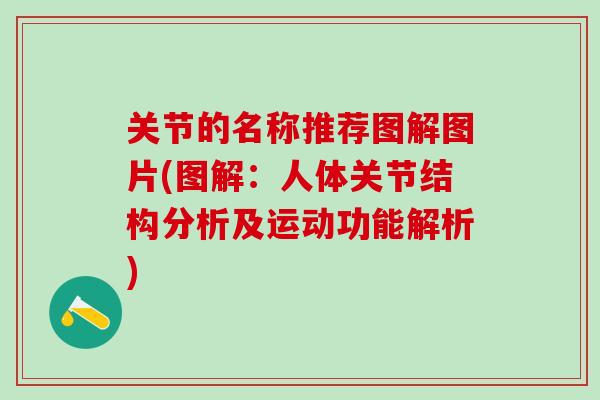 关节的名称推荐图解图片(图解：人体关节结构分析及运动功能解析)-第1张图片-氨糖科普网